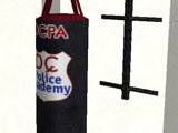 DCPA Punching Bag